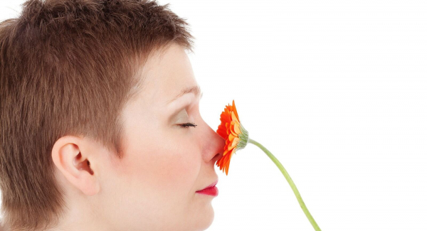 Riechen - und Wohlfühlen. Bild von PublicDomainPictures via Pixabay (https://pixabay.com/de/erwachsene-schönheit-gesicht-19033/, CC: https://creativecommons.org/publicdomain/zero/1.0/deed.de)