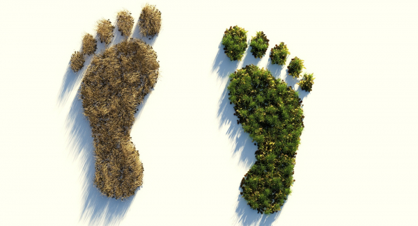 Umweltfreundlich oder nicht? Unser ökologische Fußabdruck. Quelle: ColiN00B via pixabay (https://pixabay.com/illustrations/ecological-footprint-4123696/, Lizenz: https://pixabay.com/de/service/license/).