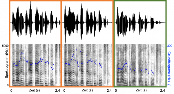 Beispiele für Stimmen von zwei eineiigen weiblichen Zwillingen (a und b; Alter 21 Jahre) und einer nicht verwandten weiblichen Sprecherin ähnlichen Alters (c; Alter 19 Jahre). Die Beispiele zeigen den Schalldruckverlauf über die Zeit (oben) und ein Sprachspektrogramm (unten) der Äußerung „Bananen und Erdbeeren sind Obst“. Bitte beachten Sie die unterschiedliche Frequenzskalierung für das Sprachspektrogramm (links, und in schwarz) und die Frequenz der Grundfrequenzkontur (rechts, und in blau). Abbildung: Eig
