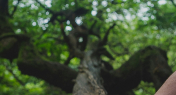 Mind the Gap: Psychologie der Klimakrise