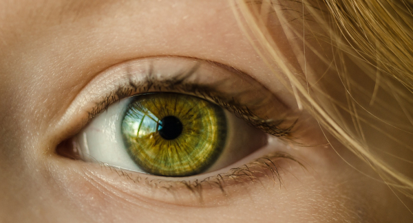 Bild: Skitterphoto via Pixabay (https://pixabay.com/de/auge-gr%C3%BCne-augen-hautnah-makro-1132531/, CC:https://creativecommons.org/publicdomain/zero/1.0/deed.de)