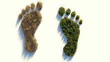 Umweltfreundlich oder nicht? Unser ökologische Fußabdruck. Quelle: ColiN00B via pixabay (https://pixabay.com/illustrations/ecological-footprint-4123696/, Lizenz: https://pixabay.com/de/service/license/).