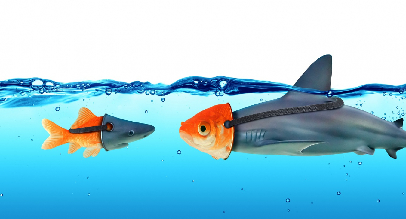 "Masken" können in bestimmen Situationen eine Funktion erfüllen. Foto: Romolo Tavani via adobe (111665285); (https://stock.adobe.com/de/images/deception-concept-disguise-between-shark-and-goldfish/111665285), Lizenz: https://stock.adobe.com/de/license-terms#standardLicenses).