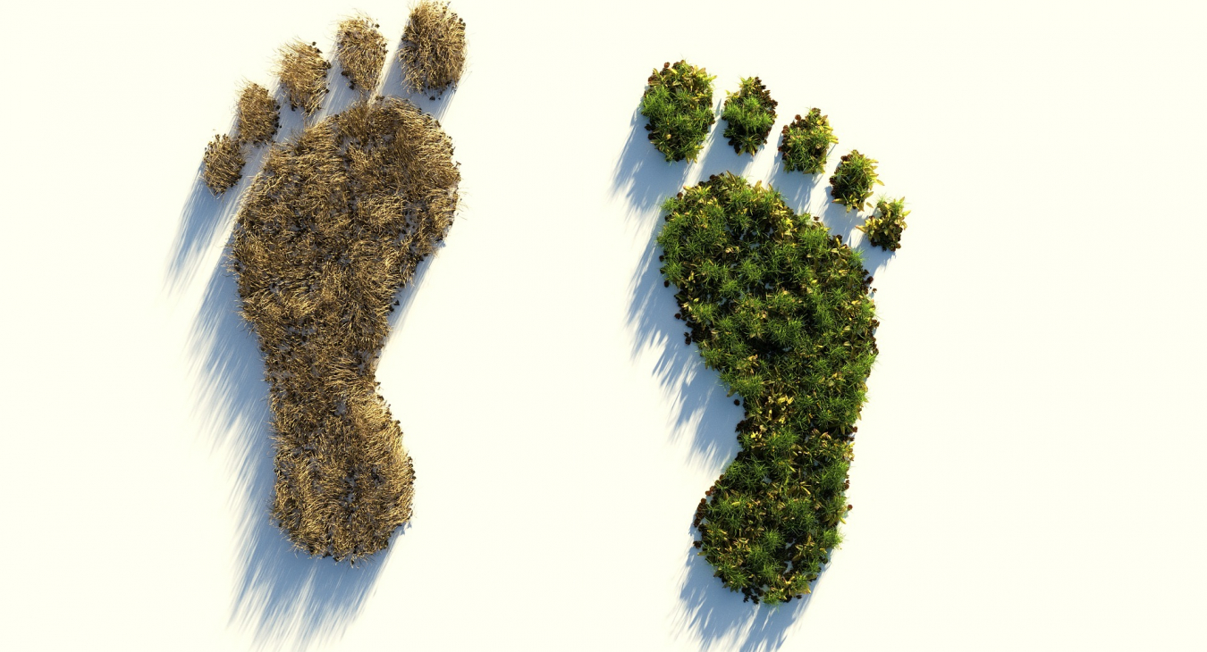 Umweltfreundlich oder nicht? Unser ökologische Fußabdruck. Quelle: ColiN00B via pixabay (https://pixabay.com/illustrations/ecological-footprint-4123696/, Lizenz: https://pixabay.com/de/service/license/).