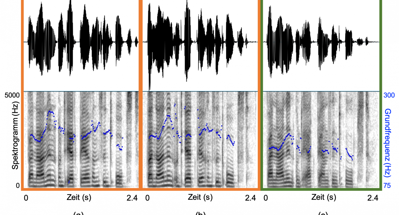 Beispiele für Stimmen von zwei eineiigen weiblichen Zwillingen (a und b; Alter 21 Jahre) und einer nicht verwandten weiblichen Sprecherin ähnlichen Alters (c; Alter 19 Jahre). Die Beispiele zeigen den Schalldruckverlauf über die Zeit (oben) und ein Sprachspektrogramm (unten) der Äußerung „Bananen und Erdbeeren sind Obst“. Bitte beachten Sie die unterschiedliche Frequenzskalierung für das Sprachspektrogramm (links, und in schwarz) und die Frequenz der Grundfrequenzkontur (rechts, und in blau). Abbildung: Eig