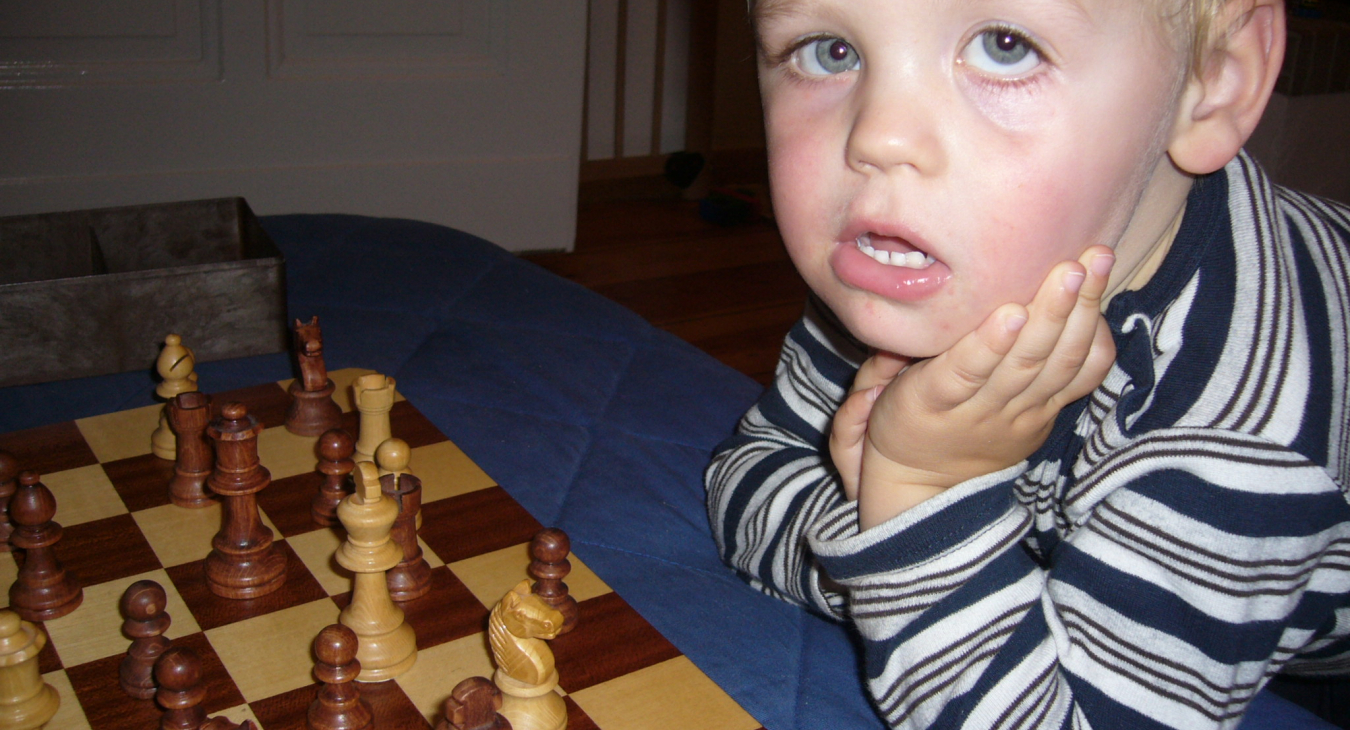 Bild 1: Schach für Anfänger