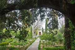 Blick in einen grünen Garten.