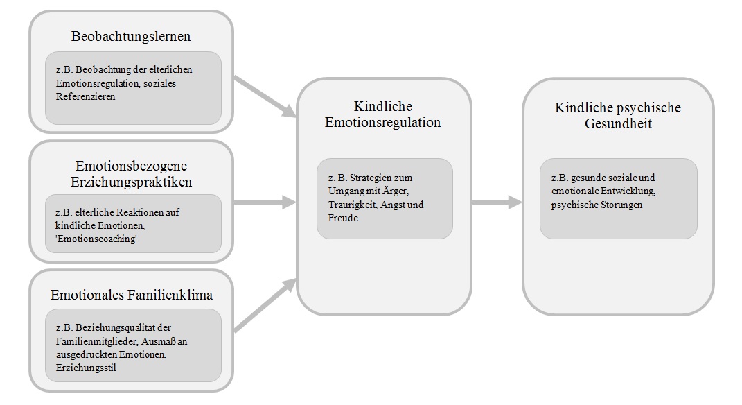 Abbildung 1. Ein Rahmenmodell zum Einfluss der Familie auf die kindliche Emotionsregulation und psychosoziale Anpassung (adaptiert und vereinfacht nach Morris et al., 2007)