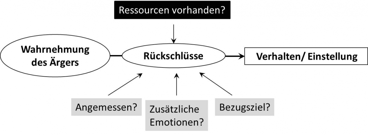 Wie beeinflusst Ärger den Interaktionspartner? Nach seiner Wahrnehmung können Rückschlüsse auf die Ursache gezogen werden, die sich gegebenenfalls auf das Verhalten oder die Einstellung des Interaktionspartners auswirken. Hierzu müssen ausreichend Ressourcen vorhanden sein. Die Bewertung, ob Ärger in einer Situation angemessen erscheint, das Bezugsziel des Ärgers und mögliche weitere Emotionen – so wie Hass oder Verachtung – können Rückschlüsse entscheidend beeinflussen.