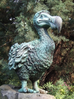 dodo von drotmalac via morguefile.com (https://morguefile.com/p/130884), Lizenz: morguefile (https://morguefile.com/license) Bild von Dodo-Bird via morgueFile
