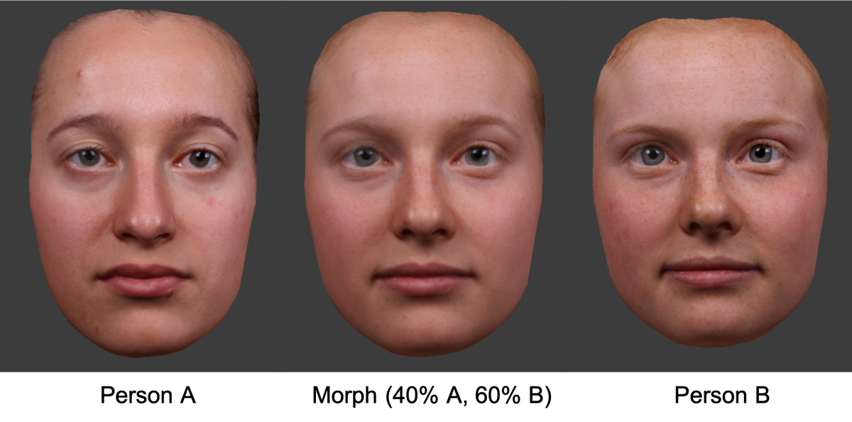 Bild 1: Beispielhafte Illustration eines eigenen Gesichts (links, Person A, Alter 20 Jahre) und eines unbekannten Gesichts desselben Geschlechts und vergleichbaren Alters (rechts; Person B, Alter 21 Jahre), und eines Morphs zwischen diesen beiden Gesichtern (Mitte), der in diesem Beispiel 40 % von Person A und 60 % von Person B enthält.