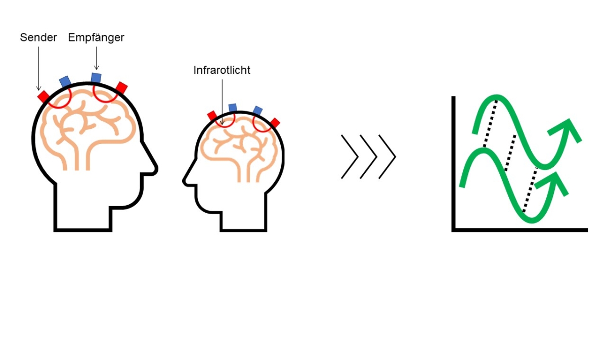 Bild 2: Schematische Darstellung des fNIRS Messprinzips. Links: Sender (rote Box) auf der Kopfoberfläche strahlen Infrarotlicht (rote Linien) aus, welches innerhalb der äußersten Schichten des Gehirns reflektiert wird und anschließend wieder zurück an die Kopfoberfläche und Empfänger (blaue Box) gelangt. Rechts: Aus dem Muster des empfangenen Infrarotlichts wird die Zu- und Abnahme der Gehirnaktivität (grüne Linien) vom Elternteil und des Kindes ermittelt und in ein Maß der wechselseitigen Anpassung der Gehirnaktivität (gestrichelte schwarze Linien) umgerechnet.