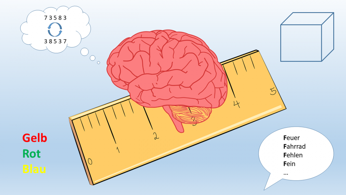 Bild 2: Die Neuropsychologie misst die kognitiven Leistungen mithilfe von Testverfahren. Beispiele für solche Tests (im Uhrzeigersinnn, beginnend links oben) sind das Merken und umgekehrte Wiedergeben von Zahlenreihen (Arbeitsgedächtnis), das Zeichnen einer dreidimensionalen Figur (perzeptiv-motorische Fähigkeiten), das Nennen von möglichst vielen Begriffen, die mit einem bestimmten Buchstaben beginnen (sog. Wortflüssigkeit) oder der sog. Stroop-Test, bei dem Druckfarben von inkompatiblen Farbwörtern benannt werden sollen (Exekutivfunktionen).