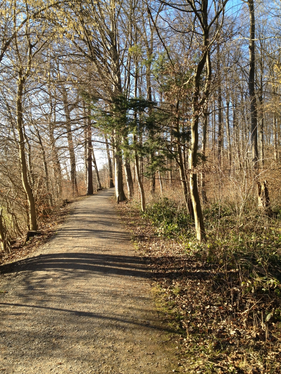 Bild von Stefanie Eicher